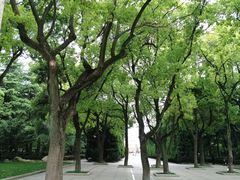 -上海市龙华烈士陵园