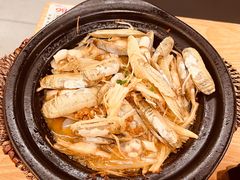 焗蛏子-邹开喜·炭炉鸡煲·海鲜火锅(虹口足球场店)