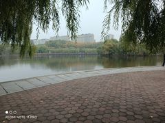 -二一九公园
