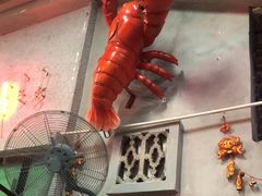 -老长沙龙虾馆(罗湖店)