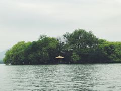 -西湖外事游船(花港观鱼码头)