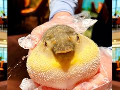 -肆月河豚·淮扬菜·湘菜(华天店)