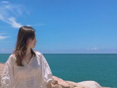 -广东惠东海龟国家级自然保护区