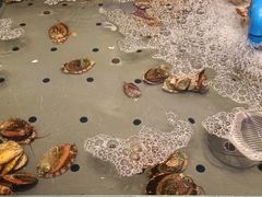 -一方渔歌蒸汽海鲜自助(文化路万达广场店)