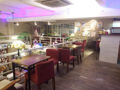 -猫咪博物馆(顶澳仔猫街店)