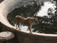 -石家庄市动物园