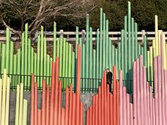 -温岭石塘海边