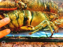 -快乐海鲜城(虎泉街店)