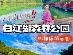 -广州白江湖森林公园