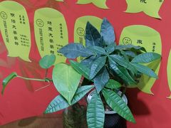 -学习谷日语培训日本留学·多语种外语教学(海淀人大分部)