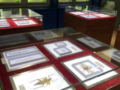 -上海昆虫博物馆