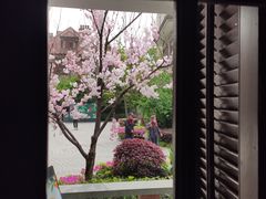 -星巴克臻选(思南公馆店)