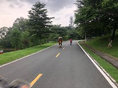 -松山湖南湖湾露营营地