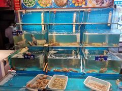 水产区-粥全粥到海鲜家常菜·海肠捞饭(嫩江路店)