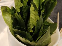 油麦菜-燃尖儿自助串串火锅(新业广场店)
