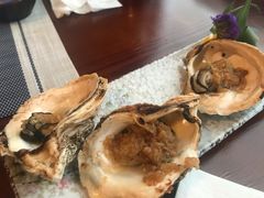 -松子日式料理(东朝阳路店)