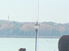 -水上明月·湖景餐厅