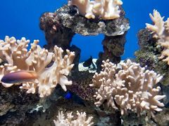 -烟台海昌鲸鲨海洋公园