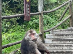 -峨眉山风景名胜区