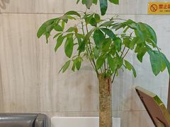 -威尔·佳宴创意陕菜融合菜(老城根红庙坡地铁站店)