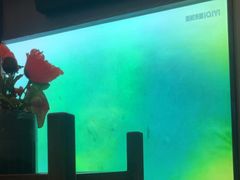 -和子足浴SPA会馆(东方之门店)