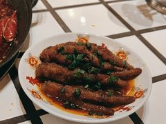 -朱光玉火锅馆(正弘城店)