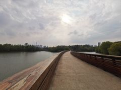 -昆山城市生态森林公园