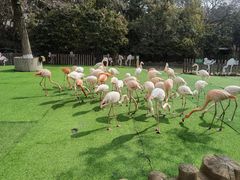 -上海野生动物园