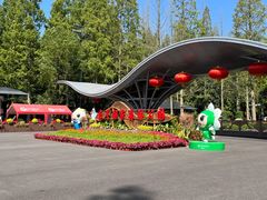 -东平国家森林公园