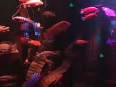 -沈阳海洋探索中心