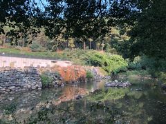 -九龙潭景区