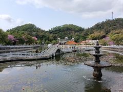 -红山村
