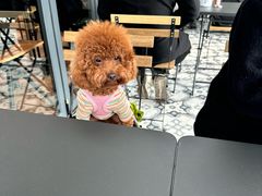 -Chili's Cafe&Bar奇利斯(滨江店)
