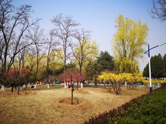 -青龙湖公园