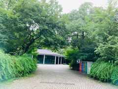 -西湖风景区-江洋畈生态公园