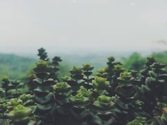 -远山有窑