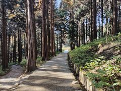 -罗田薄刀峰风景区
