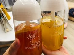 -浣熊柯尔鸭土拨鼠·电玩咖
