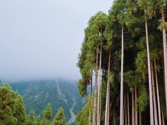 -太阳湾风景区