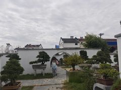 -金卉庄园