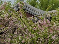 -元大都城垣遗址公园