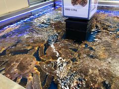 -盒马X会员店(上海森兰商都店)
