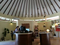 -中央格兰德岛温泉度假酒店 - 全包