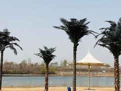 -淇河国家湿地公园