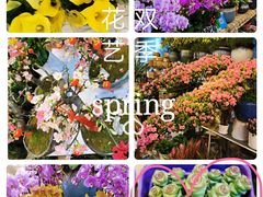 -双季花艺园艺市场(浦东店)