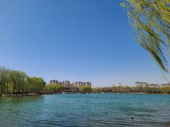 -河北省园博园