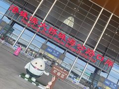 -港珠澳大桥(珠海段)