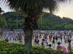 -重庆海昌加勒比海水世界