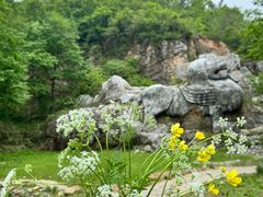 -老山国家森林公园