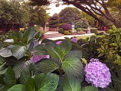 -红星美凯龙(上海沪南店)